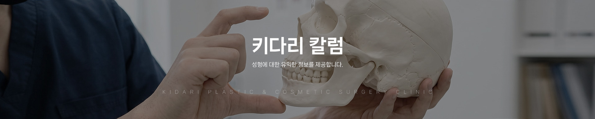 키다리칼럼